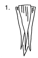 1.gif (5979 bytes)